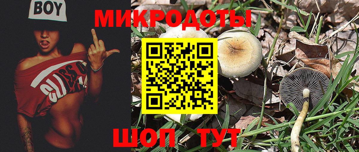 Галлюциногенные грибы мухоморы Ангарск