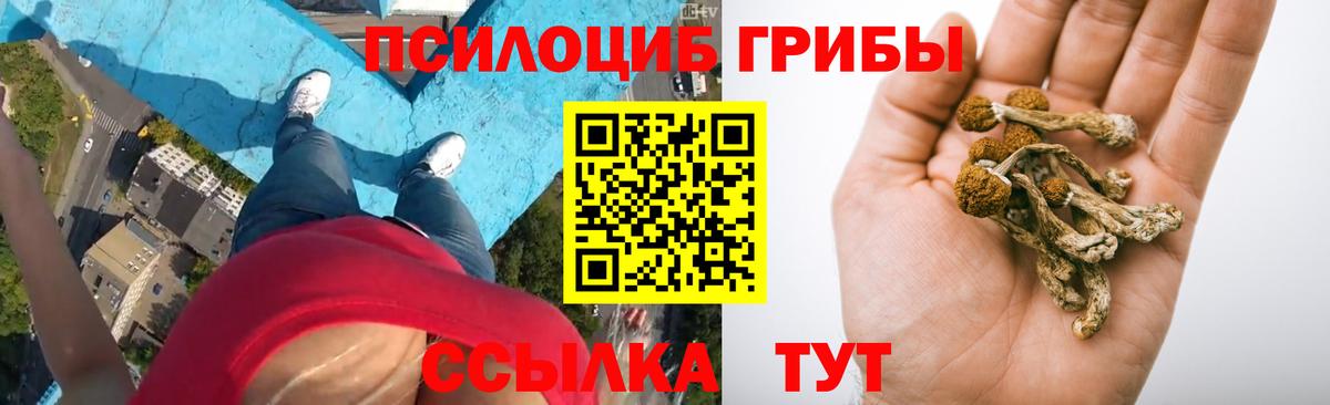 Галлюциногенные грибы Psilocybine cubensis  наркошоп  Ангарск  Вход с VPN 